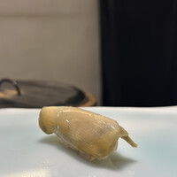 鮨 なんば 日比谷 - 