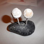 IL TEATRINO DA SALONE - アミューズ