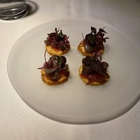 タケル クインディチ(LOQUAT) 西伊豆 - 