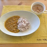 Cafe HaRu-NiRe - ベジタブル薬膳カレー(ご飯少なめ)