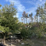 こいぬのワルツ あづみの - 