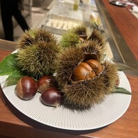 スガラボヴィー - 