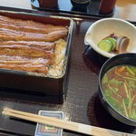 Nihombashi Unagi Isesada - 鰻重（松）