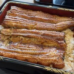 Nihombashi Unagi Isesada - 鰻重（松）