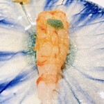 うを徳 - 北海道羽幌産 牡丹海老