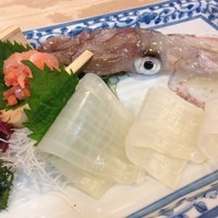 稚加榮 本店 - いか活造り(1.5人前)