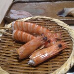 鮨 銀座 おのでら - 