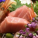 醍醐 - 本鮪の大とろ