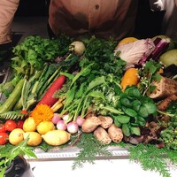 レフェルヴェソンス - 