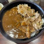 Dontatsudomburinotatsujin - 「丼達カレー」770円＋「鉄人(肉2倍)」200円