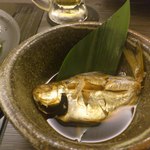 魚菜酒蔵 だいがく - 