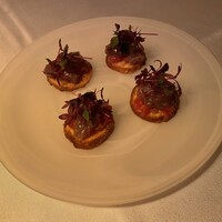 タケル クインディチ(LOQUAT) 西伊豆 - 