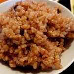 栄夏 - 酵素玄米