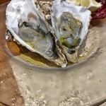 ブラチェリア デリツィオーゾ イタリア - 