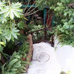 カンテ グランデ - 