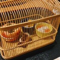 喜泉 - 