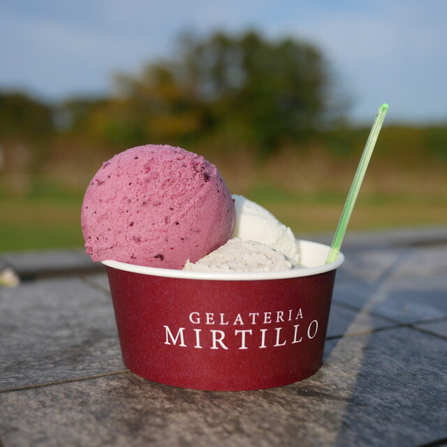 ふるさと納税 千歳市 ブルーベリージェラート ふるさと納税 ブルーベリー ジェラート ミルティーロ アイス アイス