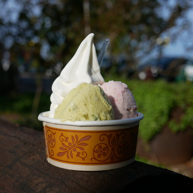 Ushigoya no Aisu, Yuni, Japan
