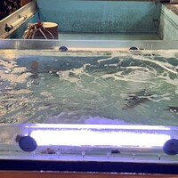 いけす無門 新宿 - いけす