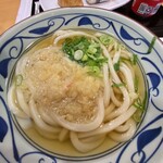 MarukameUDON - かけうどん