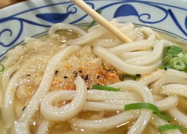 うどん丸。 6975808-0005_1.jpg