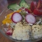 cucina vegetale RICOTTA - 