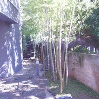 紗羅餐 本店 - 出入口