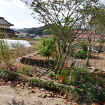 古民家カフェ ぽけっと - 産地直結☆野菜畑