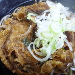 葛西駅前そば - かき揚げアップ、黒いし丸いっしょ