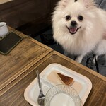 犬茶屋本舗 - 