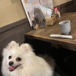 犬茶屋本舗 - 