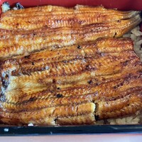 鰻割烹 伊豆栄 本店 - 