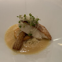 Wattle Tokyo - 