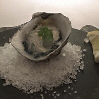 Wattle Tokyo - 