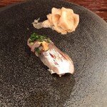 江戸心 山ぼうし - 