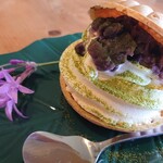 ビブラ ビブレ - 