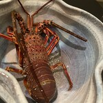 日本料理 TOBIUME - 