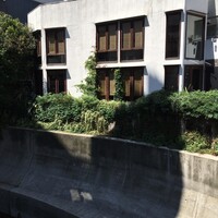 coci - 