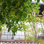 冨士屋 ギャラリー 一也百 - 