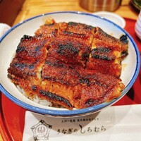 うなぎのしろむら 春日井 -  うなぎのしろむら 春日井 -