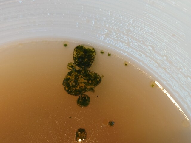 TWILIGHT EXPRESS Mizukaze