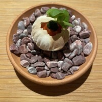 マンサルヴァ - 