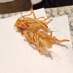 にい留 - 2013.10  夜の席