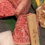 扇矢 - 