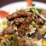 アリユメ - 細切りの牛肉