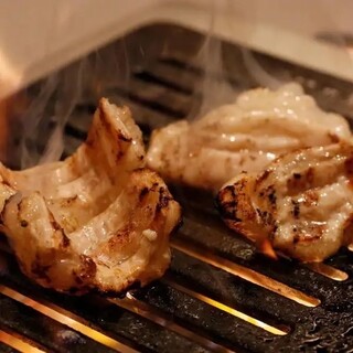 ラボ人気№１新鮮すぎるシマチョウ