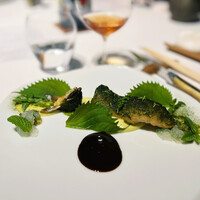 レフェルヴェソンス - 