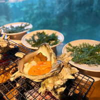 レフェルヴェソンス - 