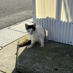 あけみちゃん号 - 