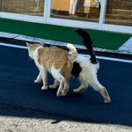 あけみちゃん号 - 